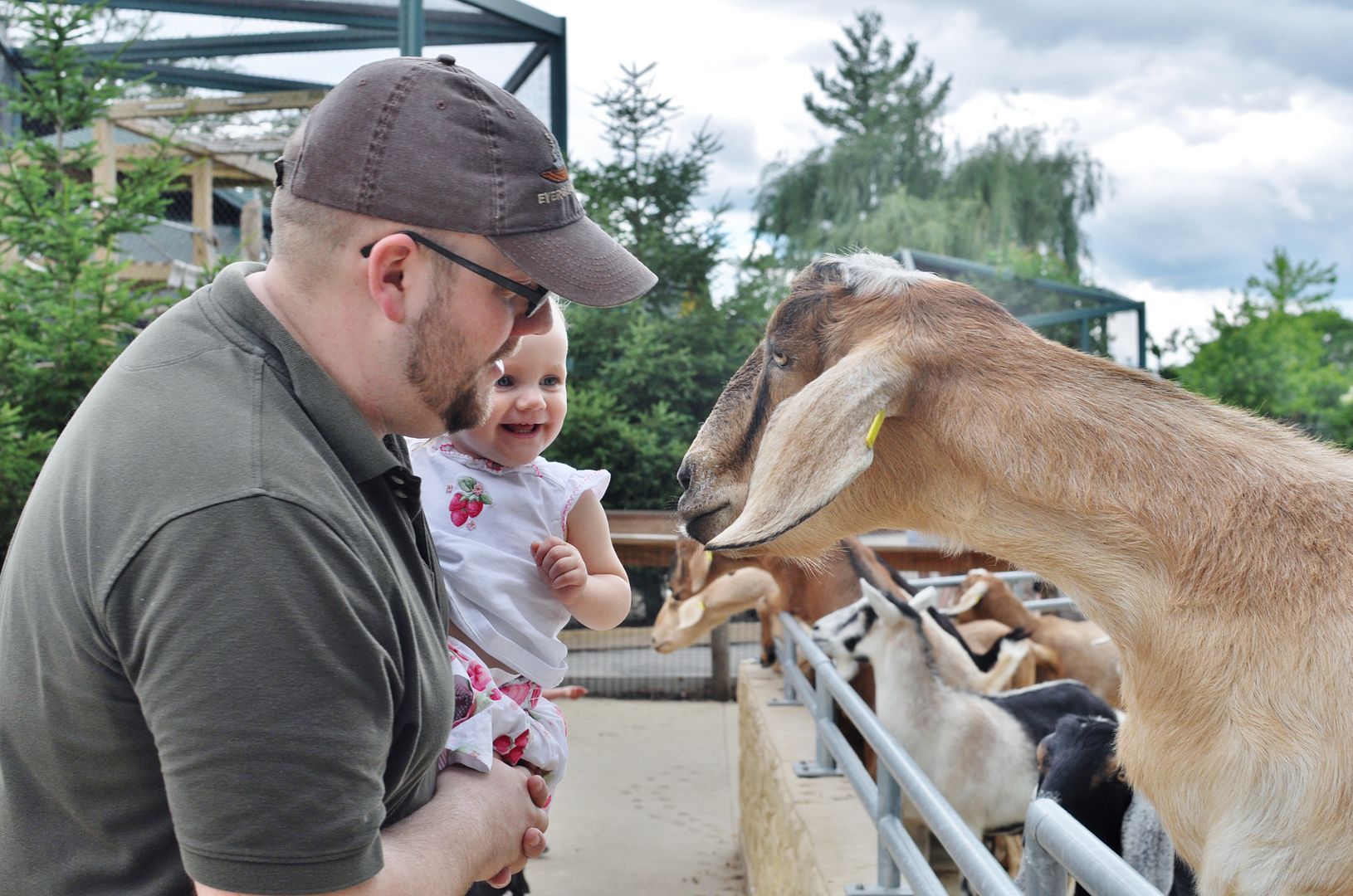 madison zoo