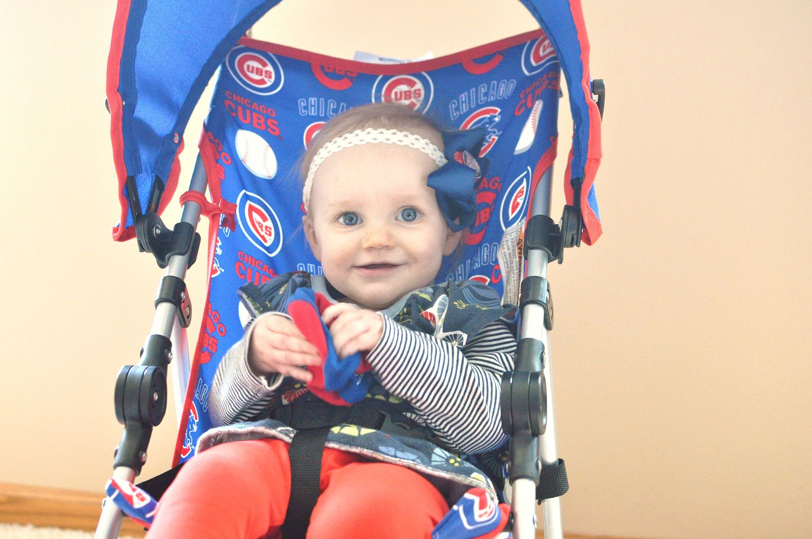 chicago cubs stroller