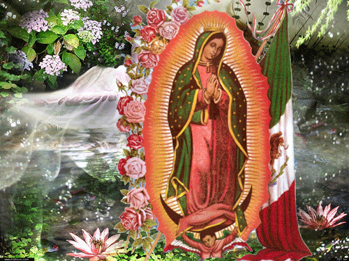 virgen de guadalupe pictures. Virgen de Guadalupe