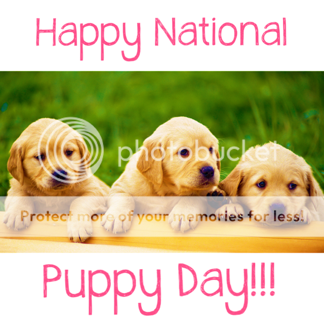 National Puppy Day….. – EmilyRushton.com