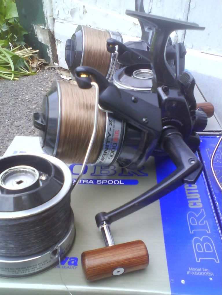 daiwa infinity x 5000 br