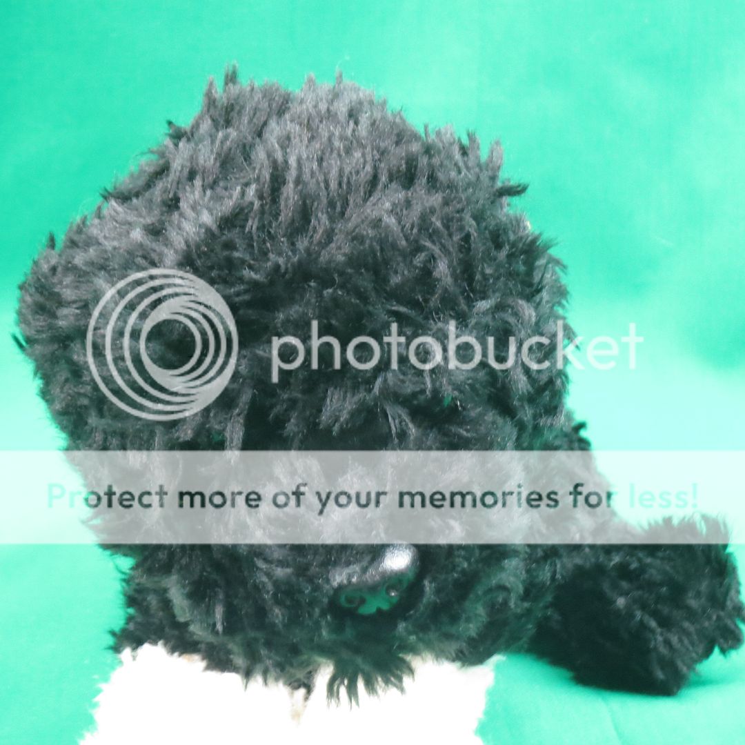 webkinz signature portuguese water dog