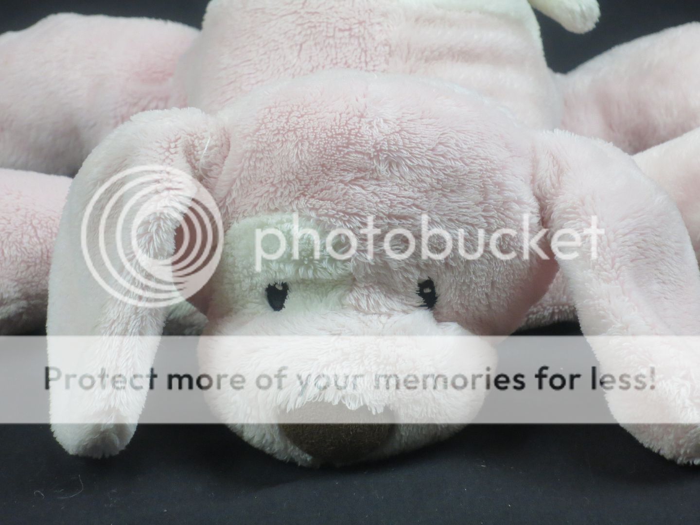 BABY GIRL PINK GUND SPUNKY FLOPPY PUPPY DOG SPOT NURSERY