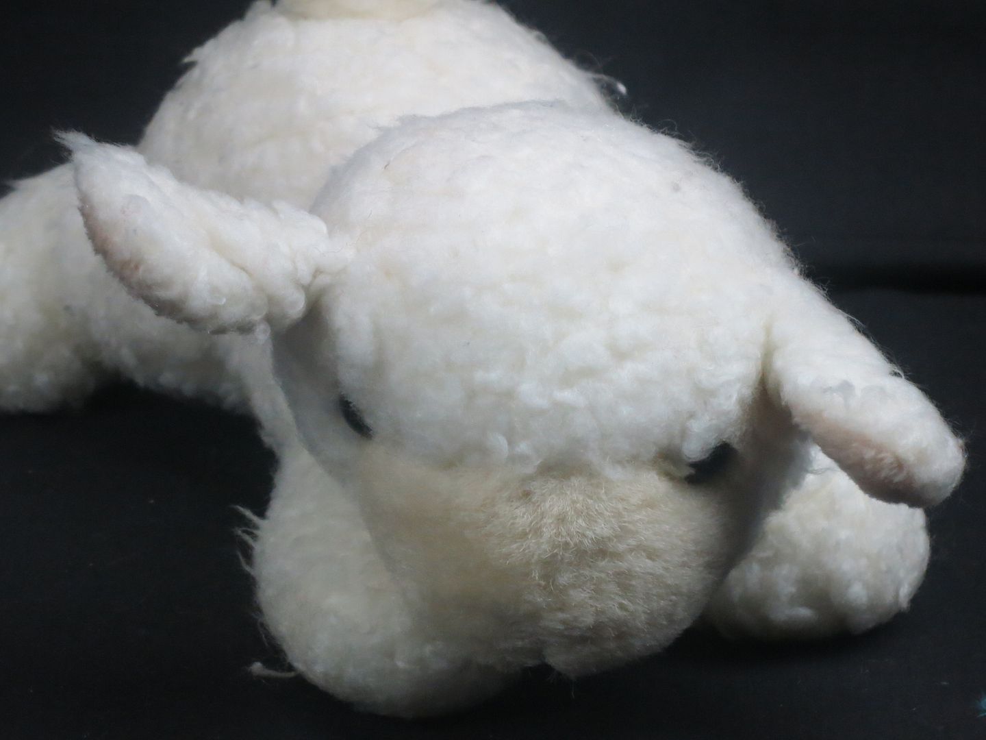 hugfun sheep