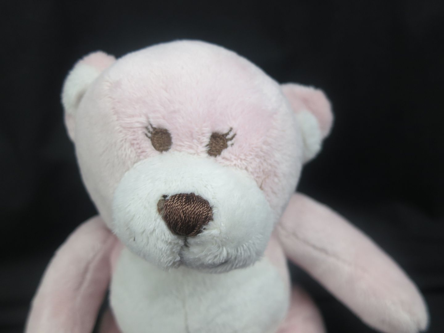 teddy bear sitting down