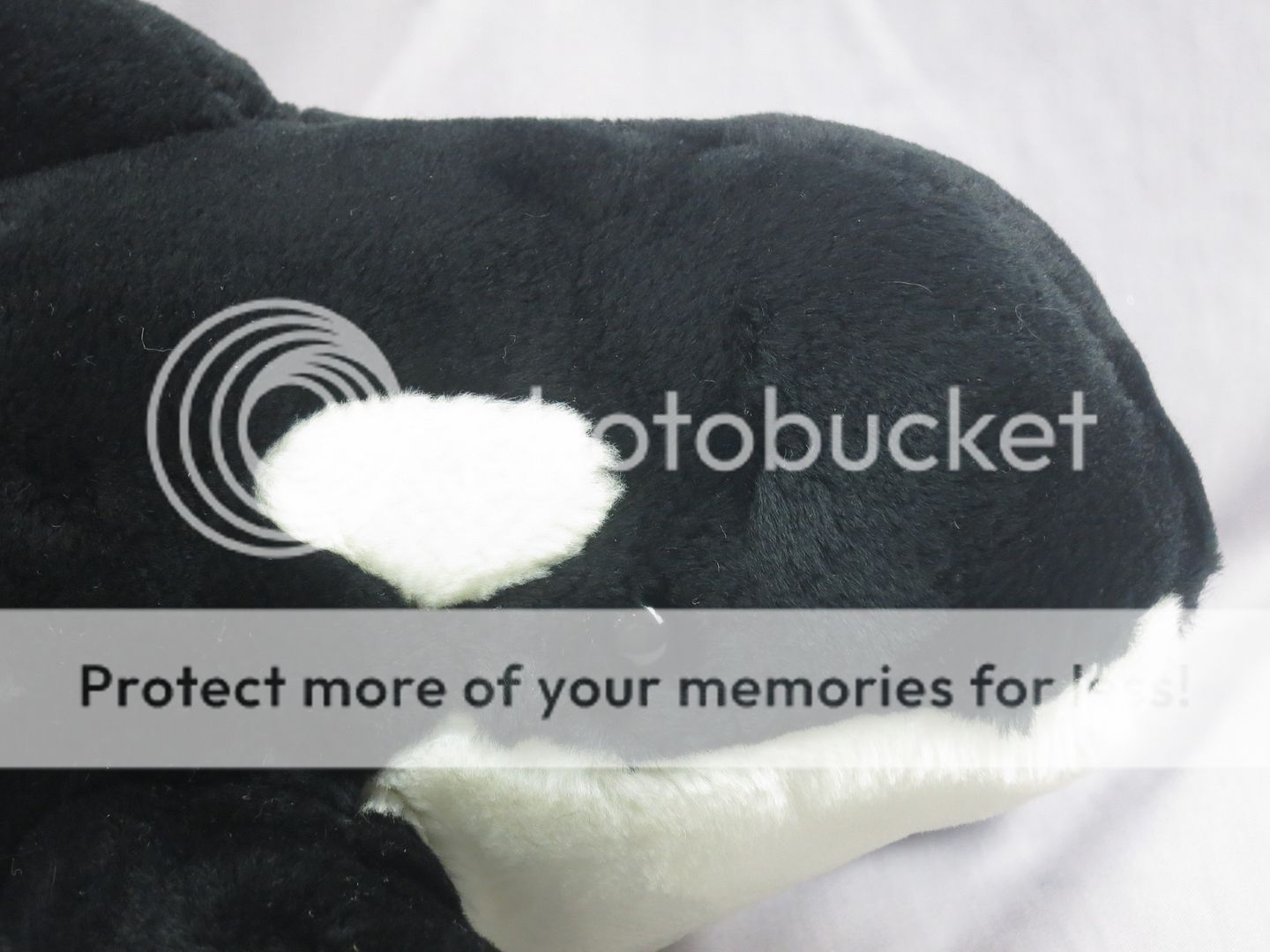 seaworld orca plush