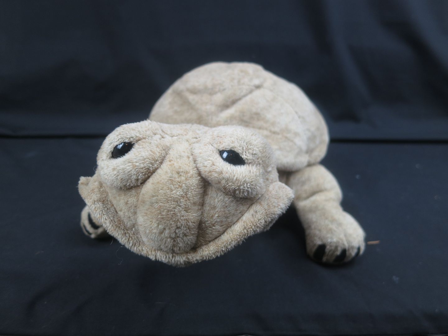 SOFT HUGGABLE CUDDLY QUARRY CRITTERS TAN TURTLE FUNNY FACE PLUSH ...