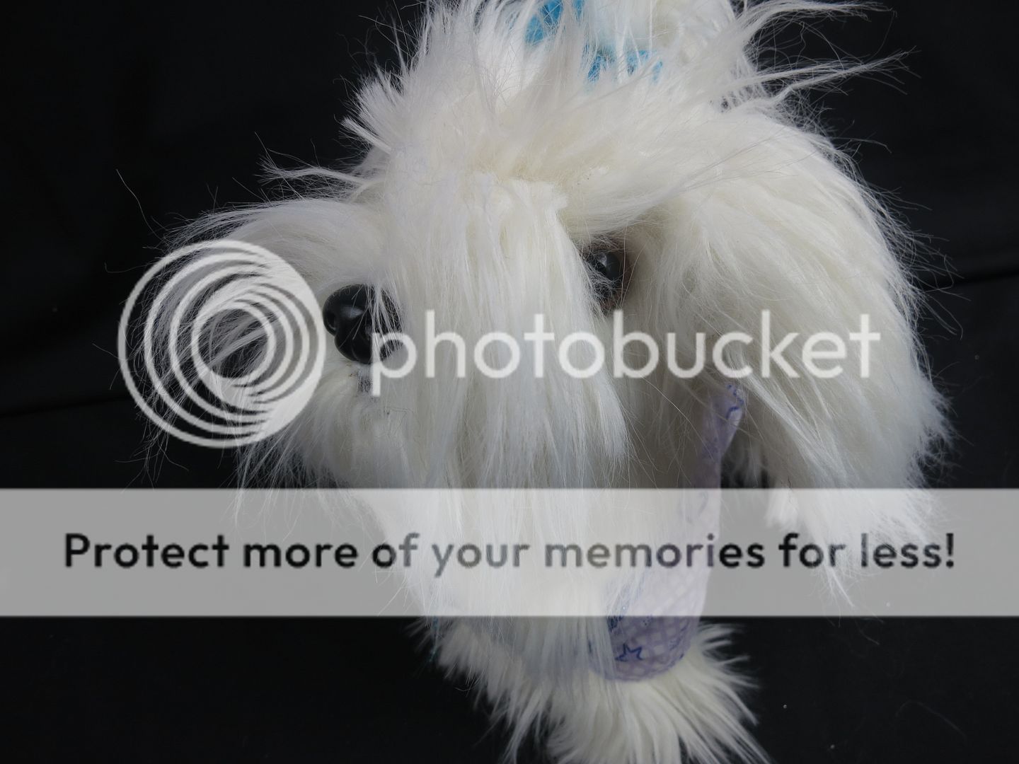 White Pucci Pups Long Hair Blue Bow Purple Shirt Battat Dog Plush