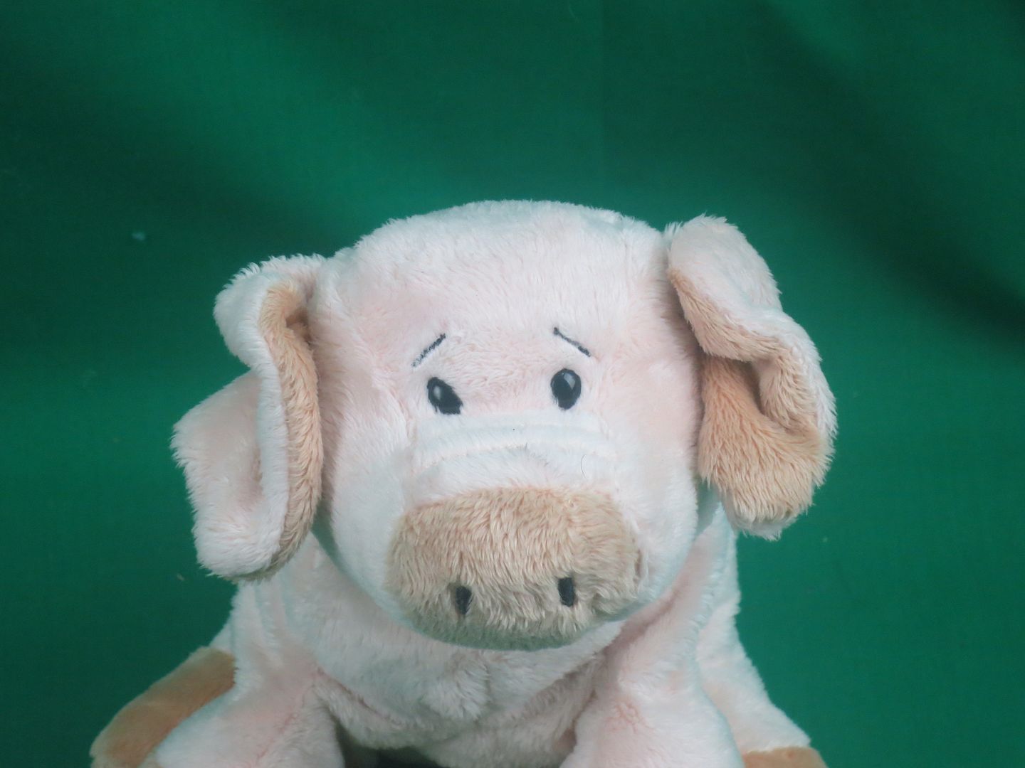 webkinz floppy pig