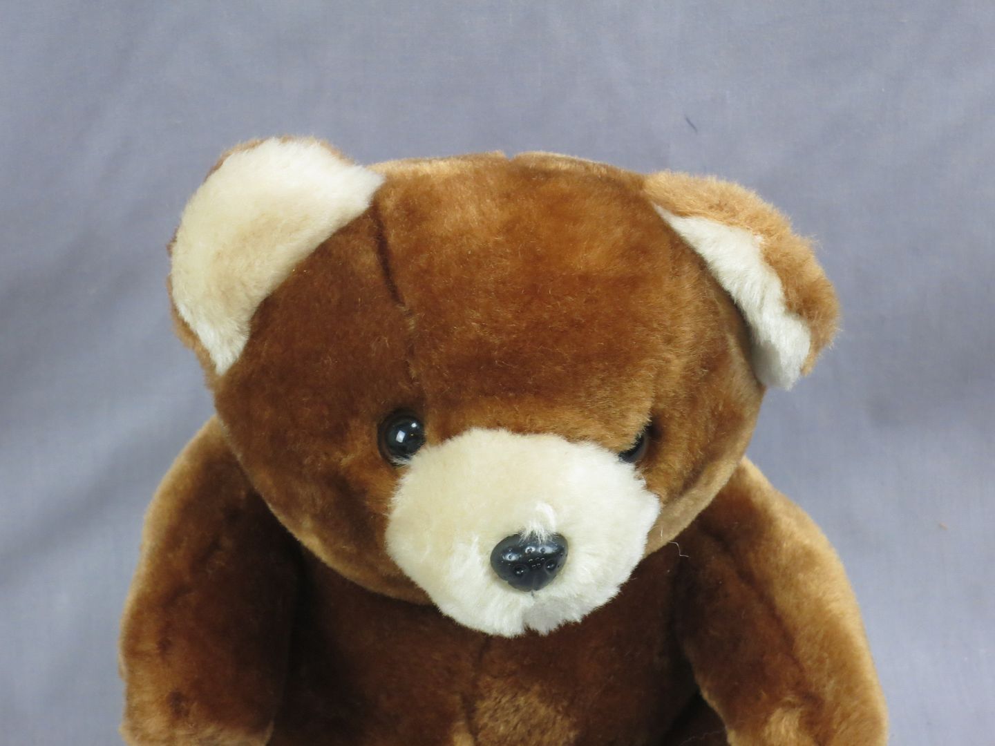 teddy bear sitting down