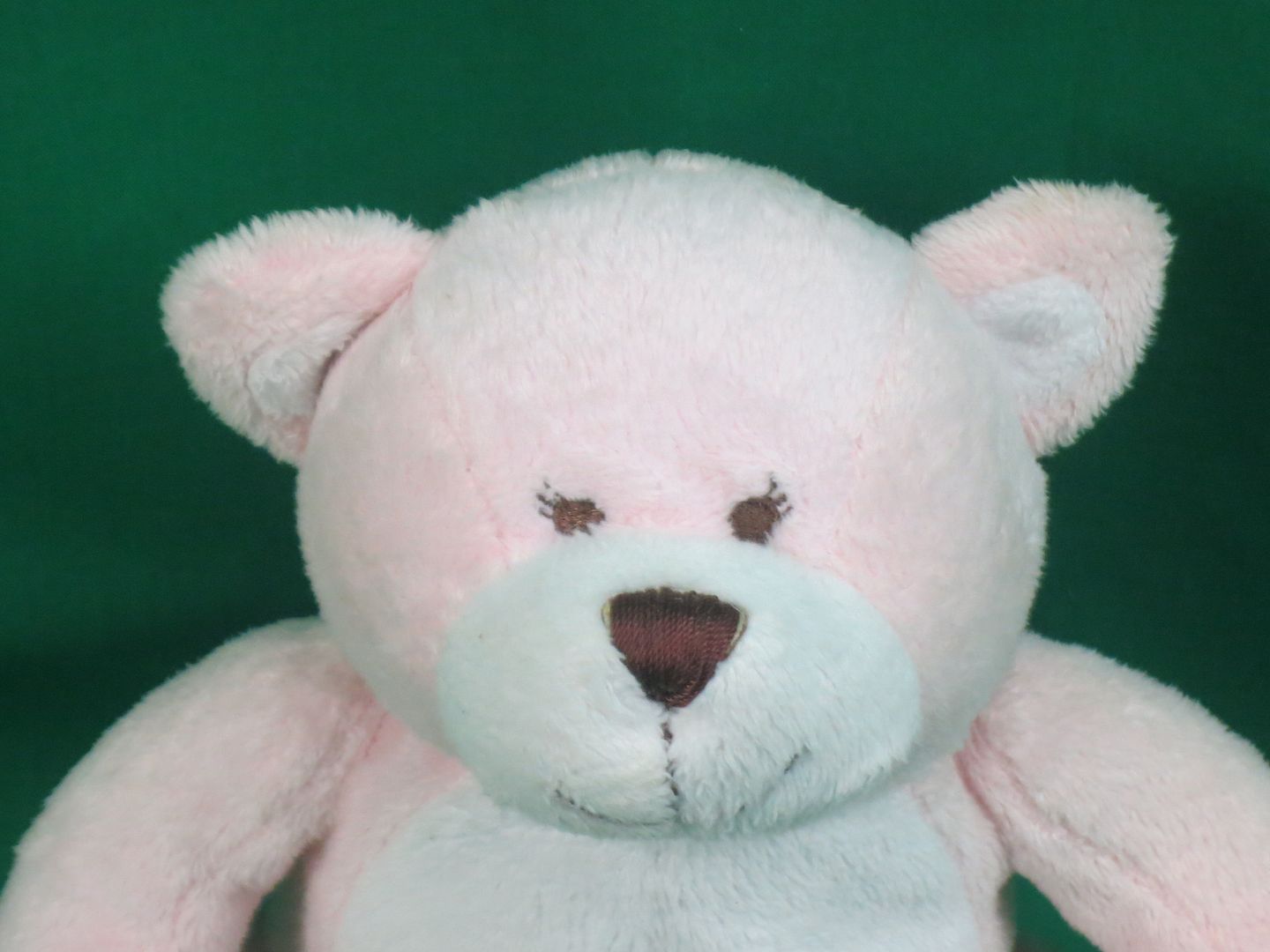 teddy bear sitting down