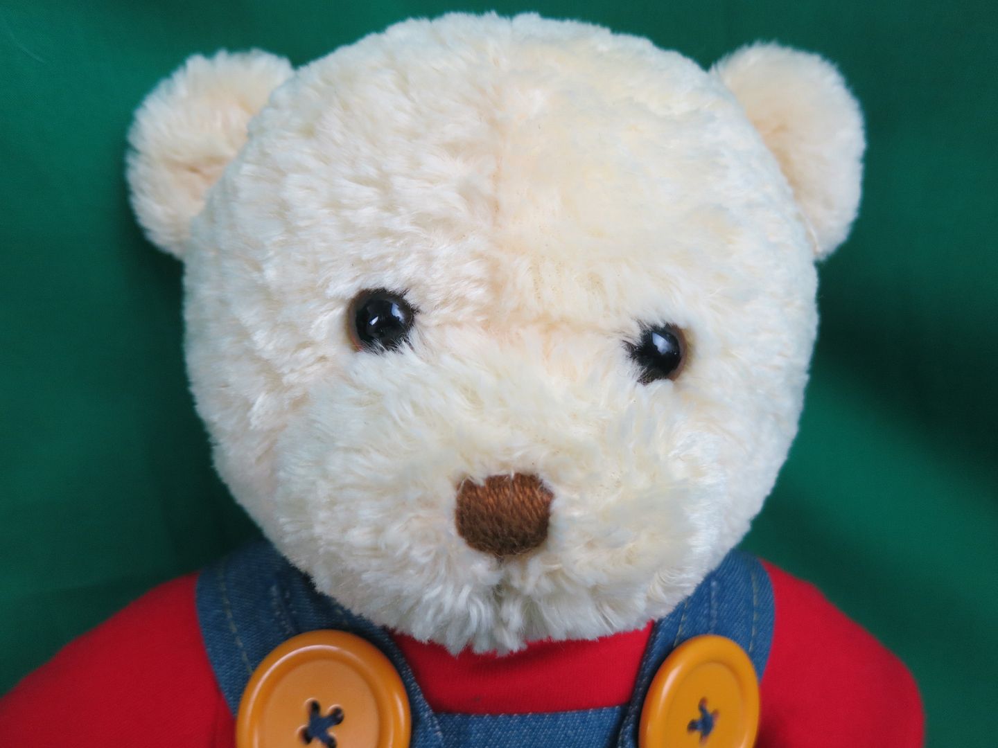 teddy bear dress for boy