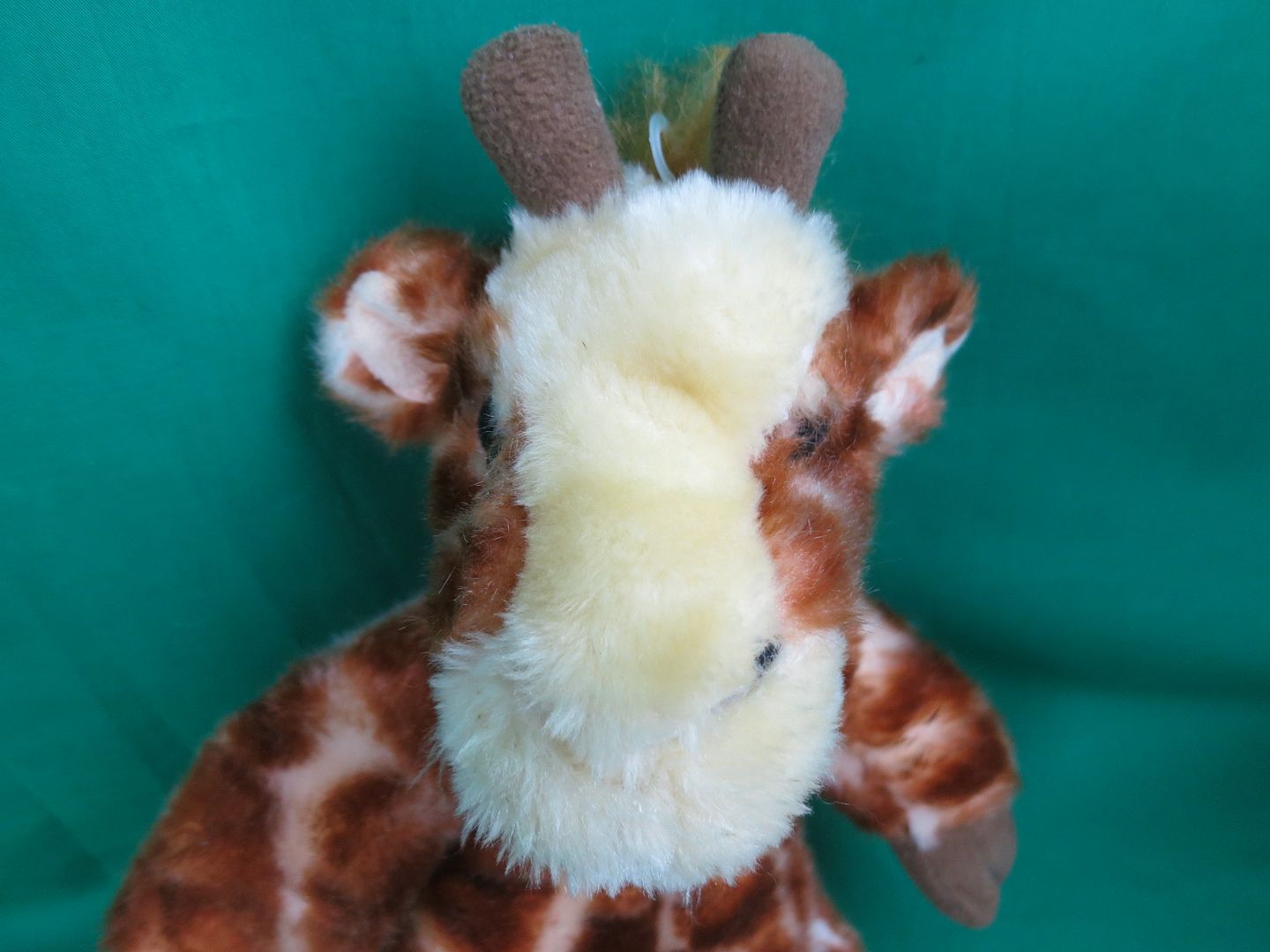 stuff your own animal