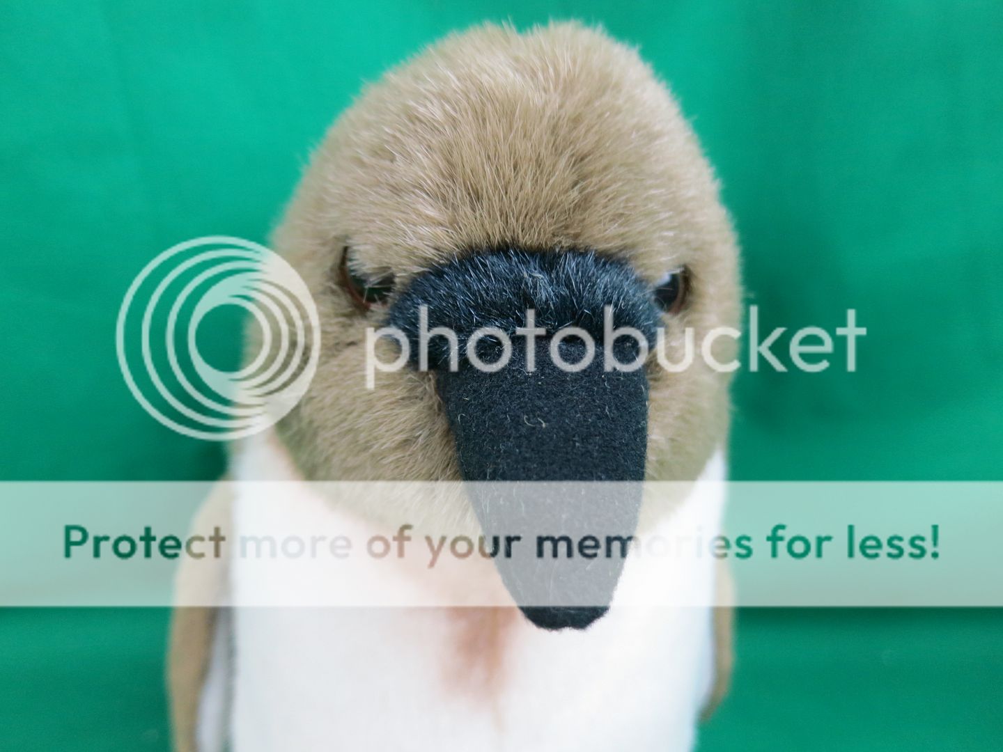 Lifelike Discovery Channel Store Brown White Baby Penguin Bird Cute Plush Stuffe Ebay