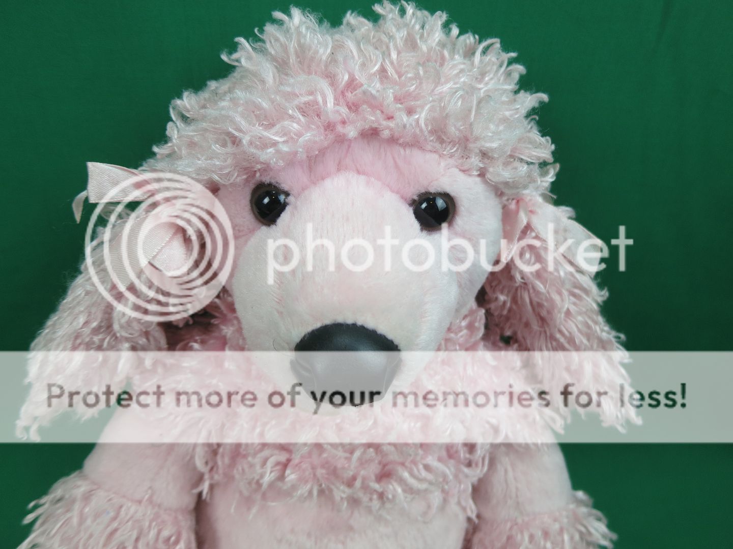 pink french poodle stuffed animal