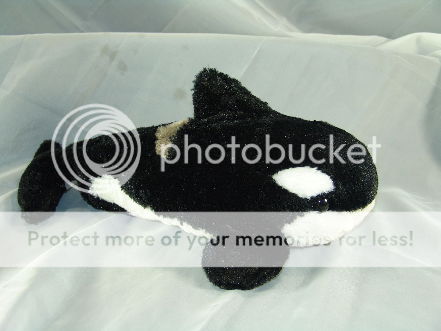 Sea World Killer Whale Shamu Plush Orca Toy SEAWORLD  