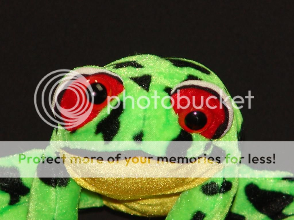 red eyed tree frog stuffed animal