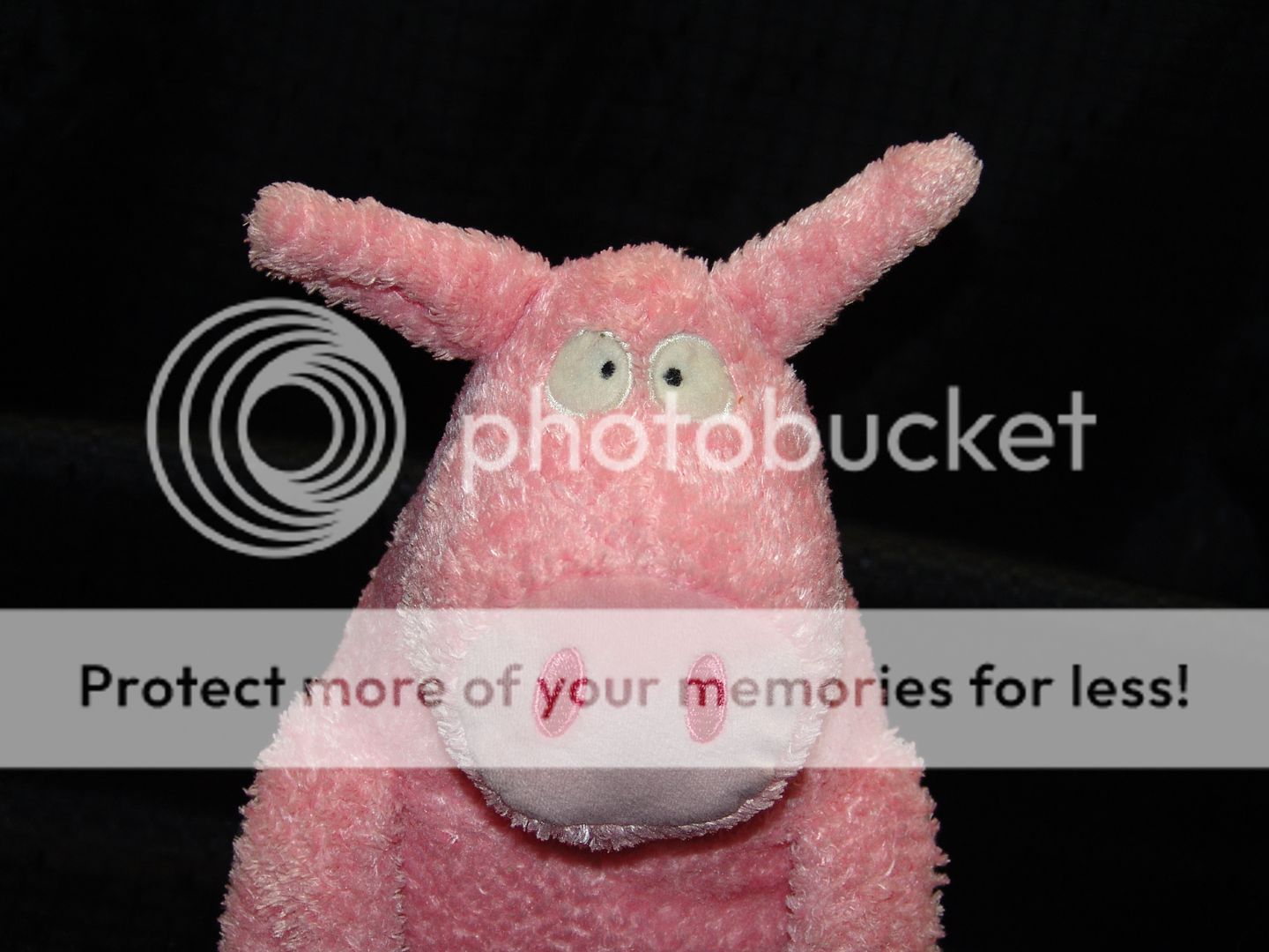 Sandra Boynton Pig Plush Stuffed Animal Book Character