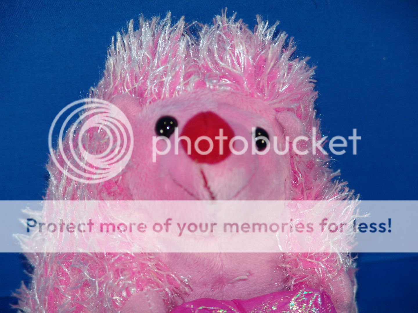 Valentine Heart Lover Plush Hug Me Pink Hedgehog Stuffed Animal Toy