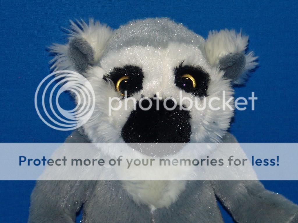 ring tailed lemur plush