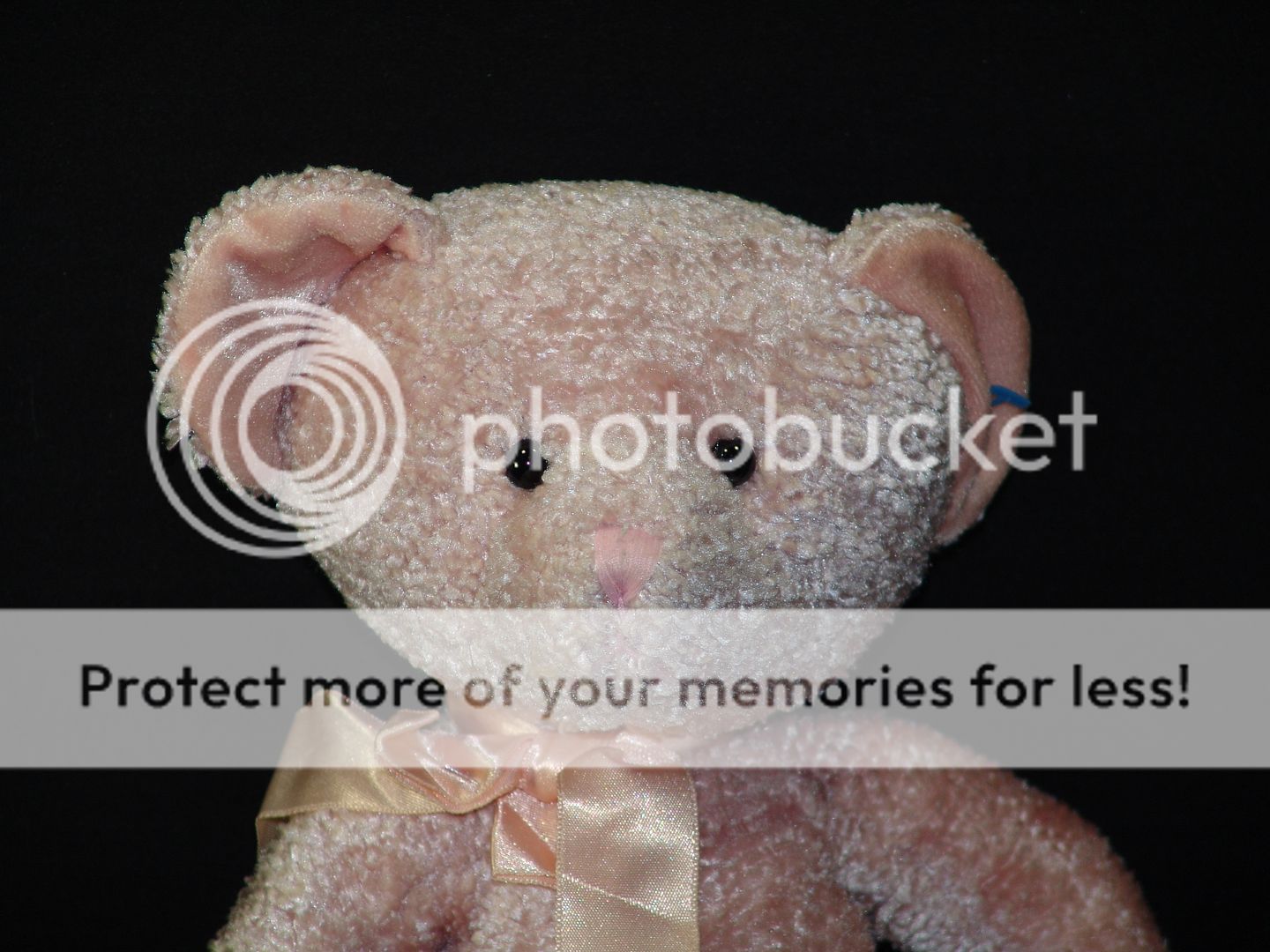 12" russ plush pink cotton candy teddy bear pinkie stuffed