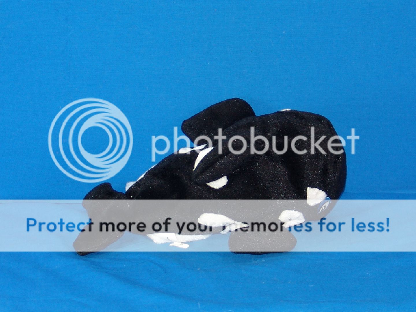 SEAWORLD KILLER WHALE ORCA HAND PUPPET SQUEAKS SHAMU PLUSH STUFFED 