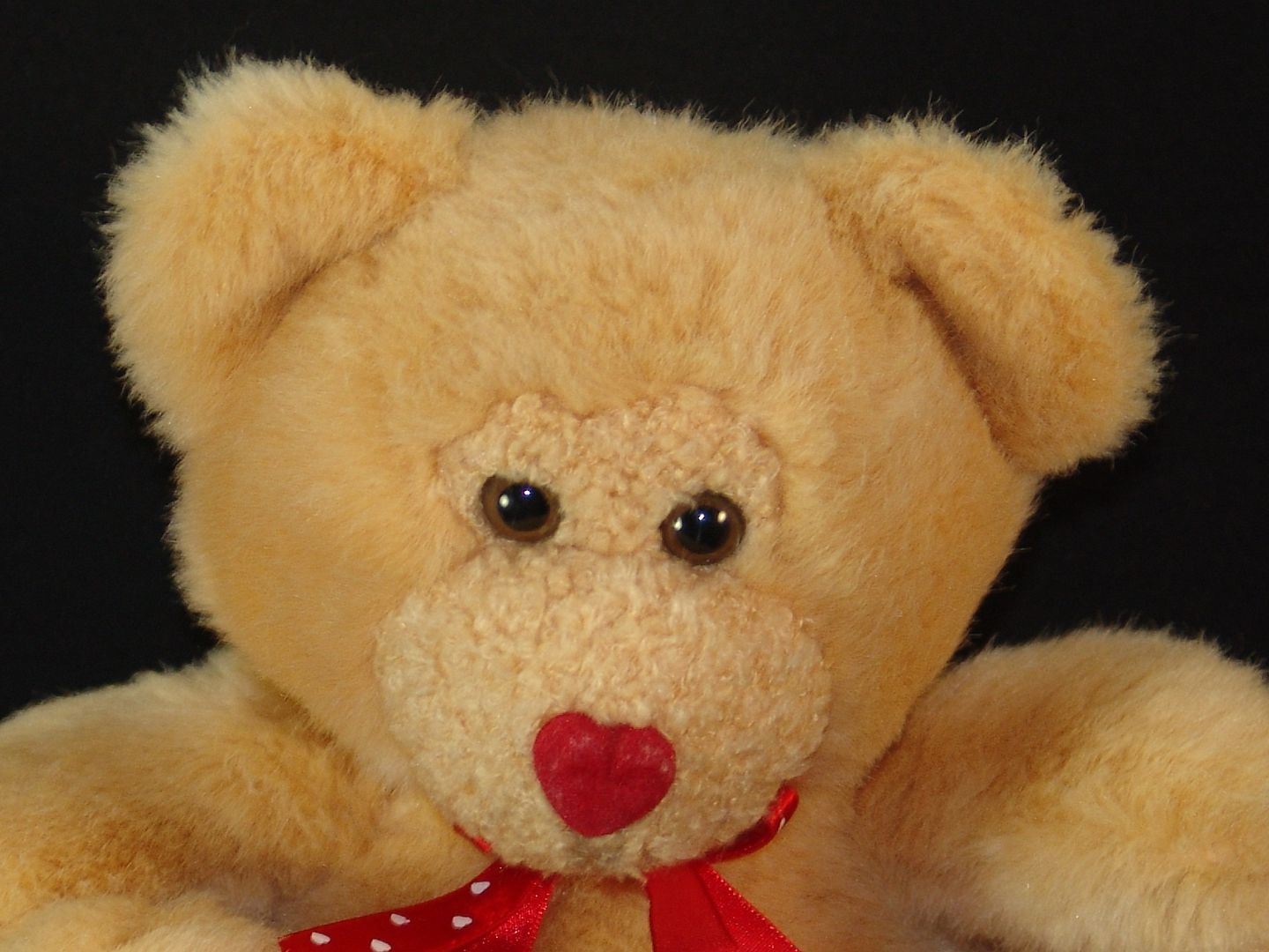 red nose teddy