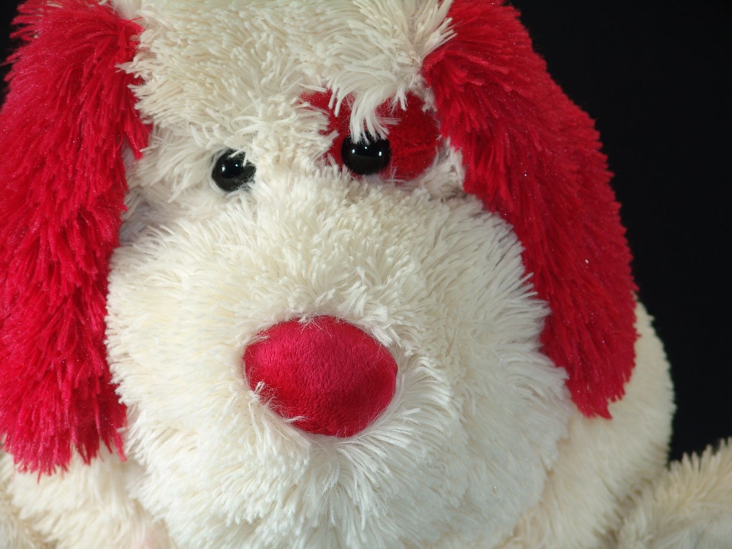 bow bow plush dog