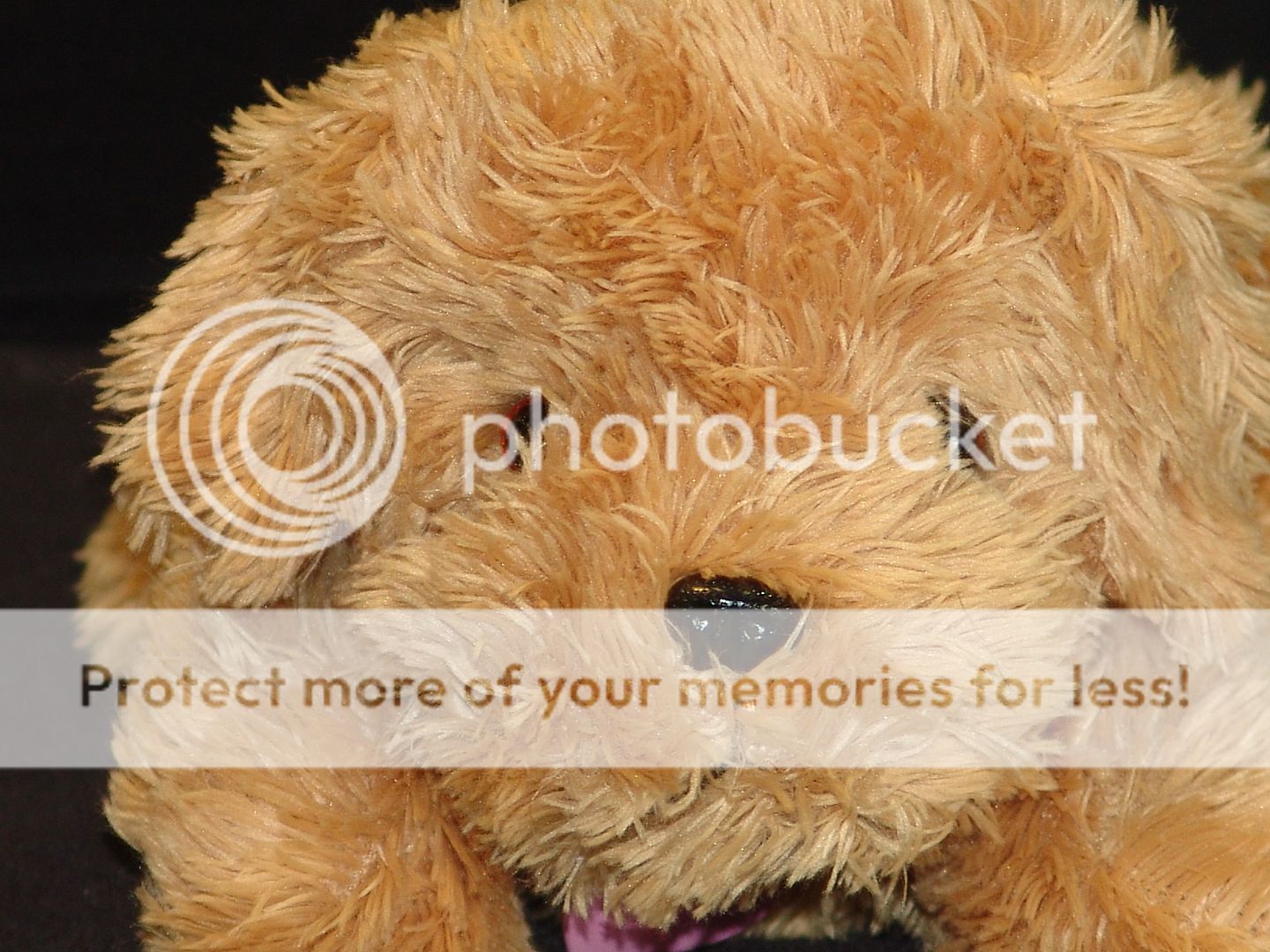 barking sound barbie dog golden retriever dog plush stuffed