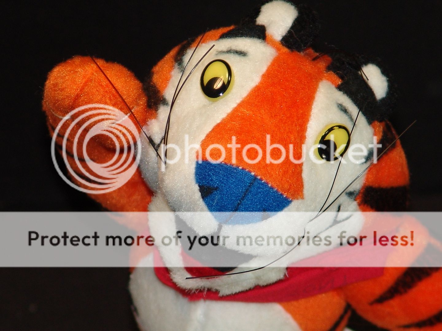 tony the tiger stuffed