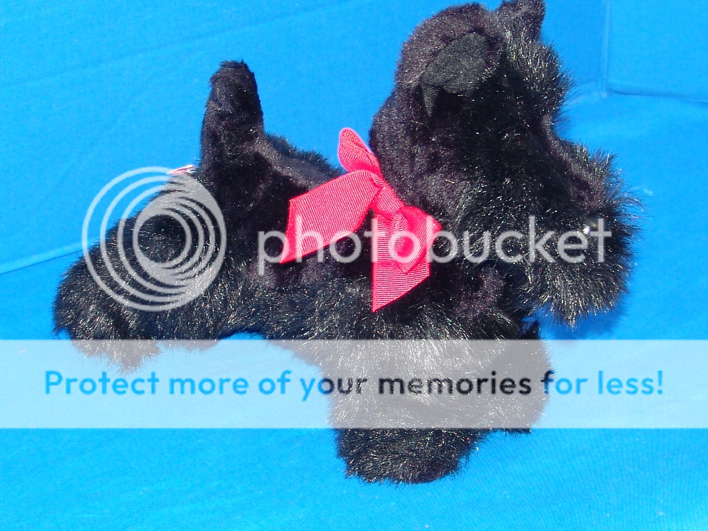   DOUGLAS BLACK SCOTTISH TERRIER PUPPY DOG PLUSH STUFFED ANIMAL TOY