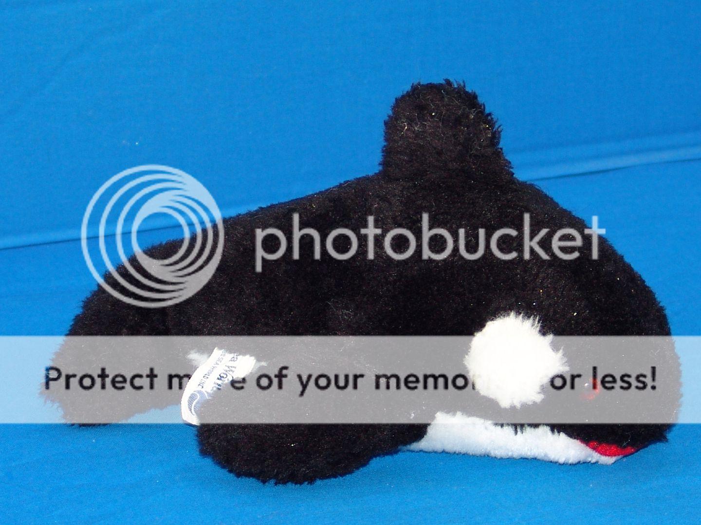 seaworld orca plush