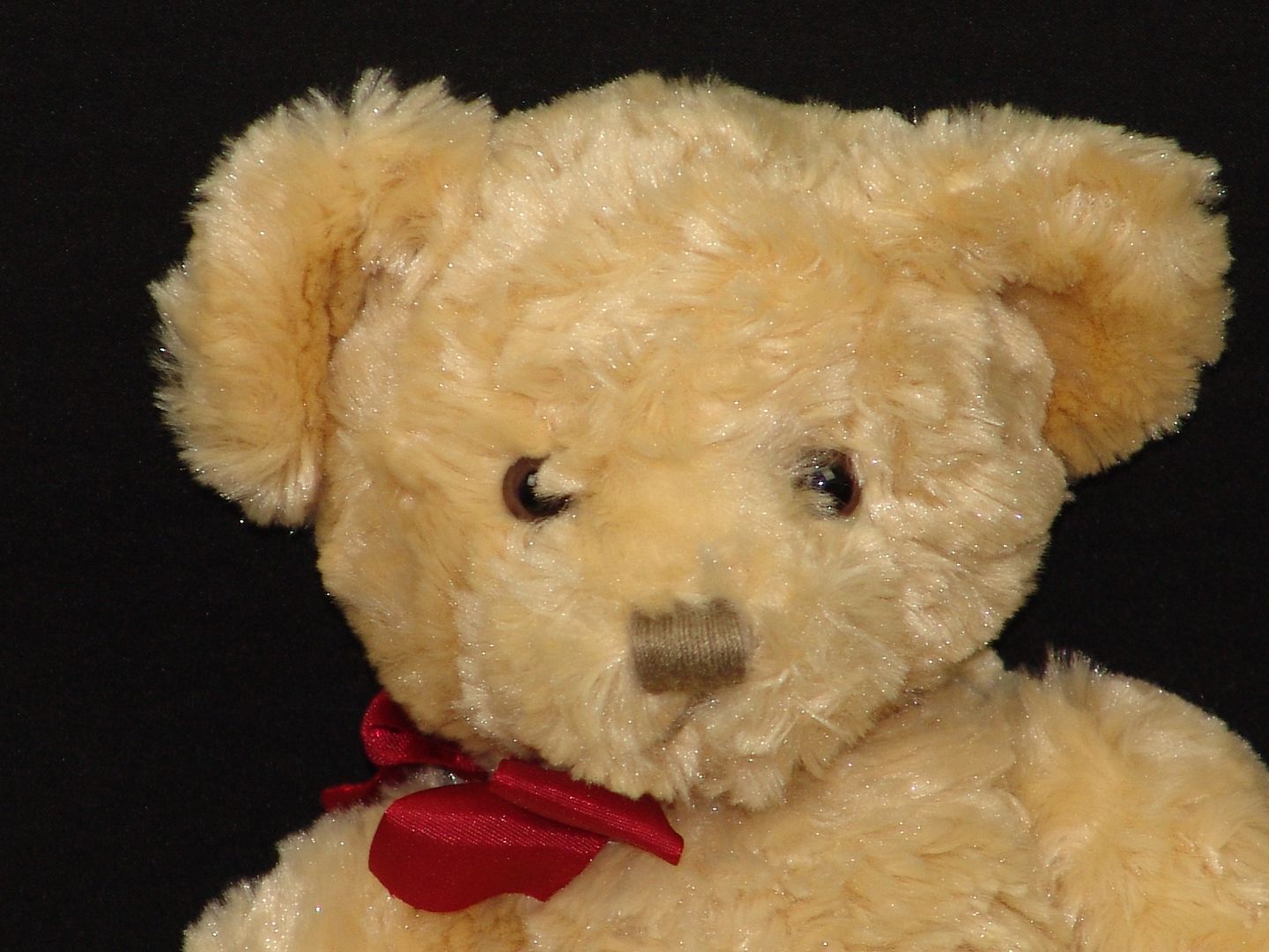 brown teddy bear with bow
