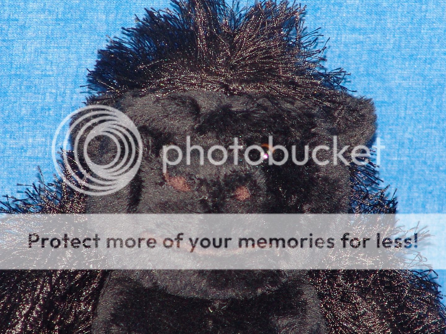 webkinz plush only no secret code lifelike black gorilla free