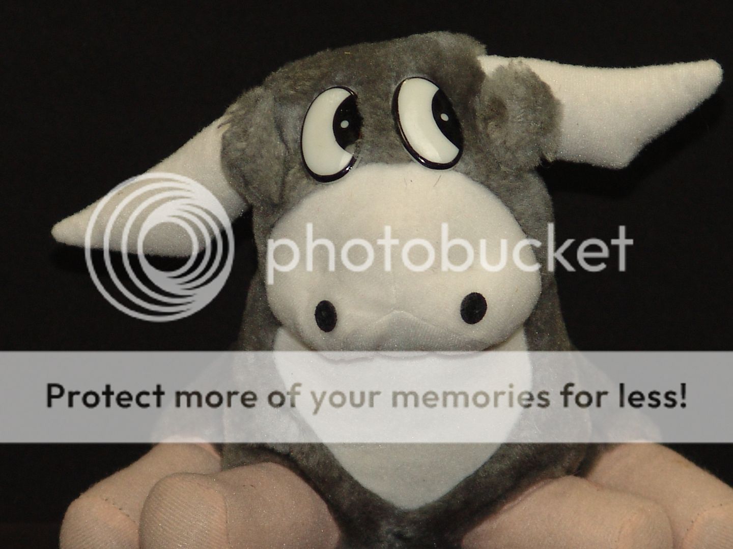 crazy funny paranoid eyes vintage gray bull plush stuffed animal