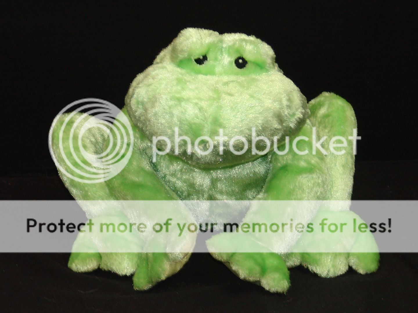 gund plush frog