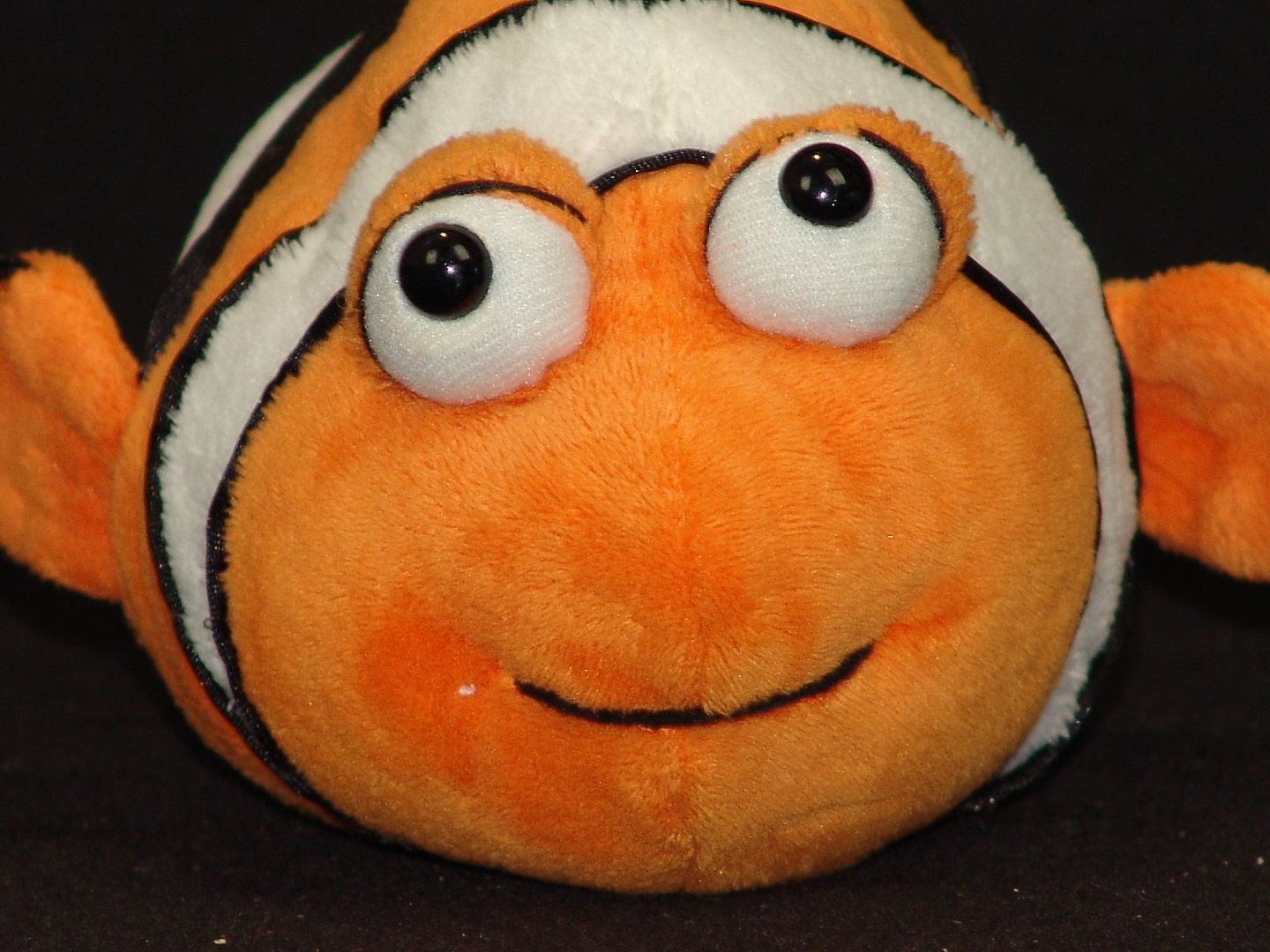 webkinz clown fish