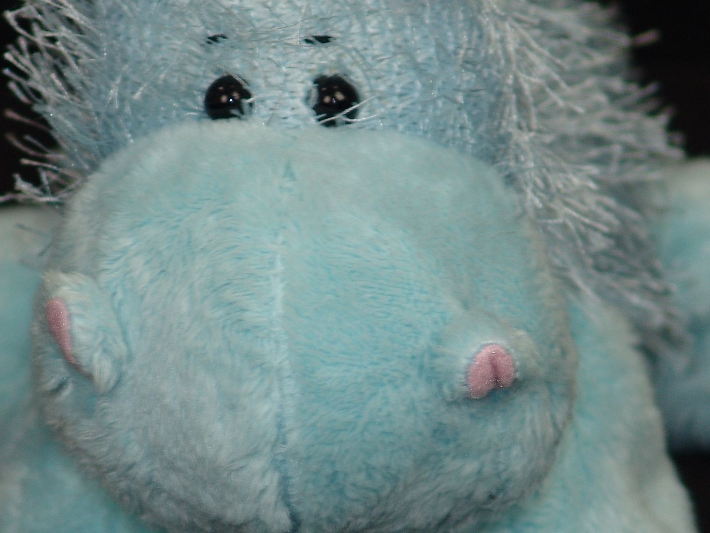 blue stuffed hippo