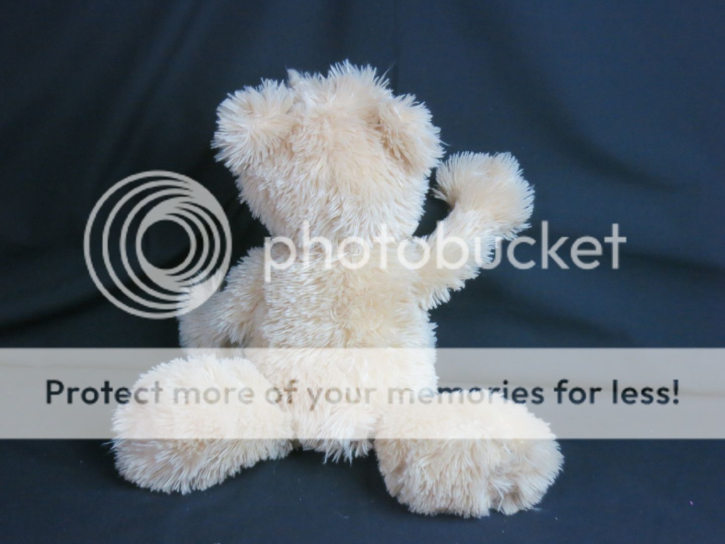 ganz h11053 grizzly cream bear brown nose plastic eyes plush