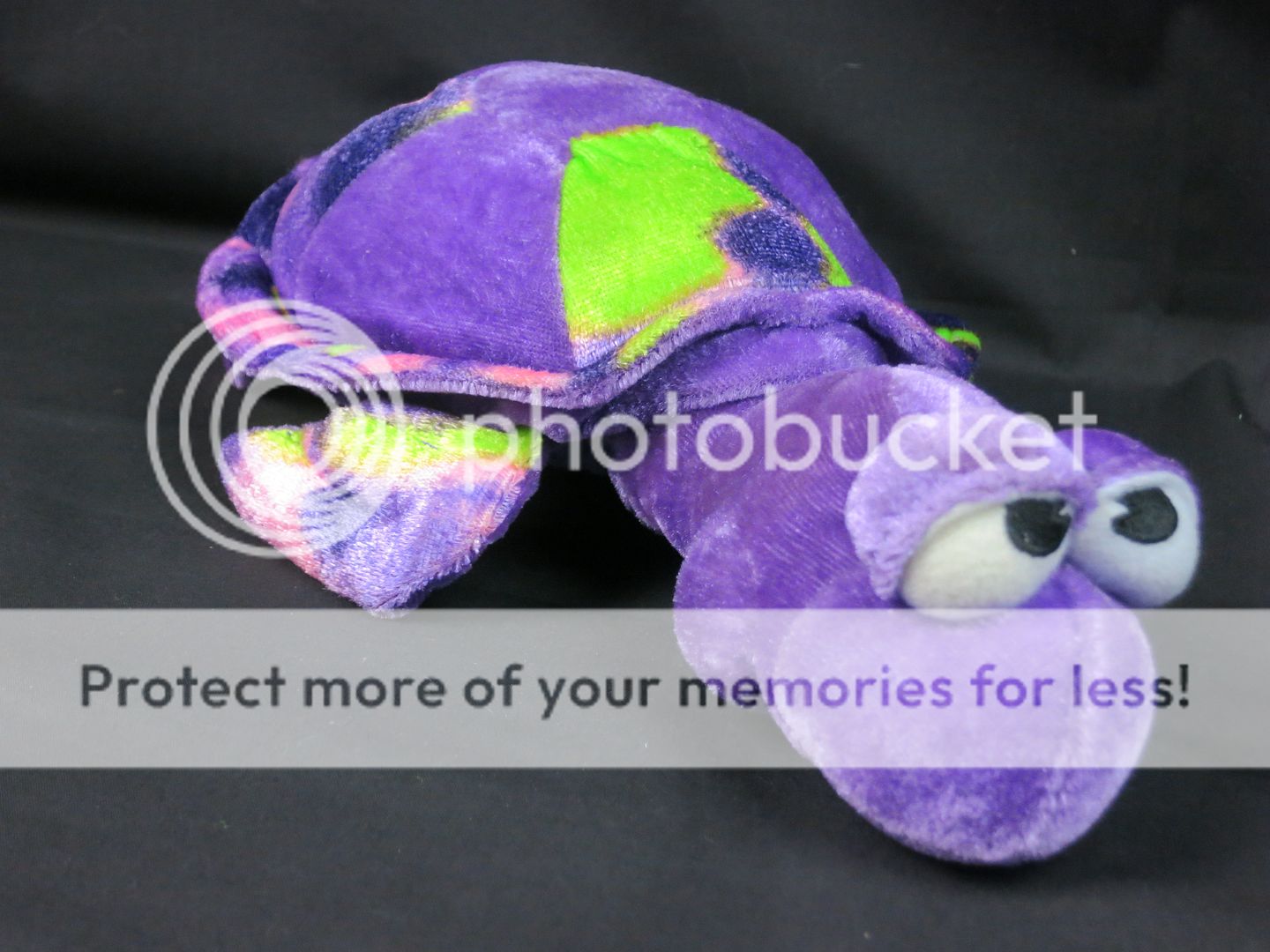 purple turtle plush