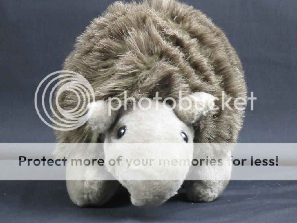 armadillo plush toy