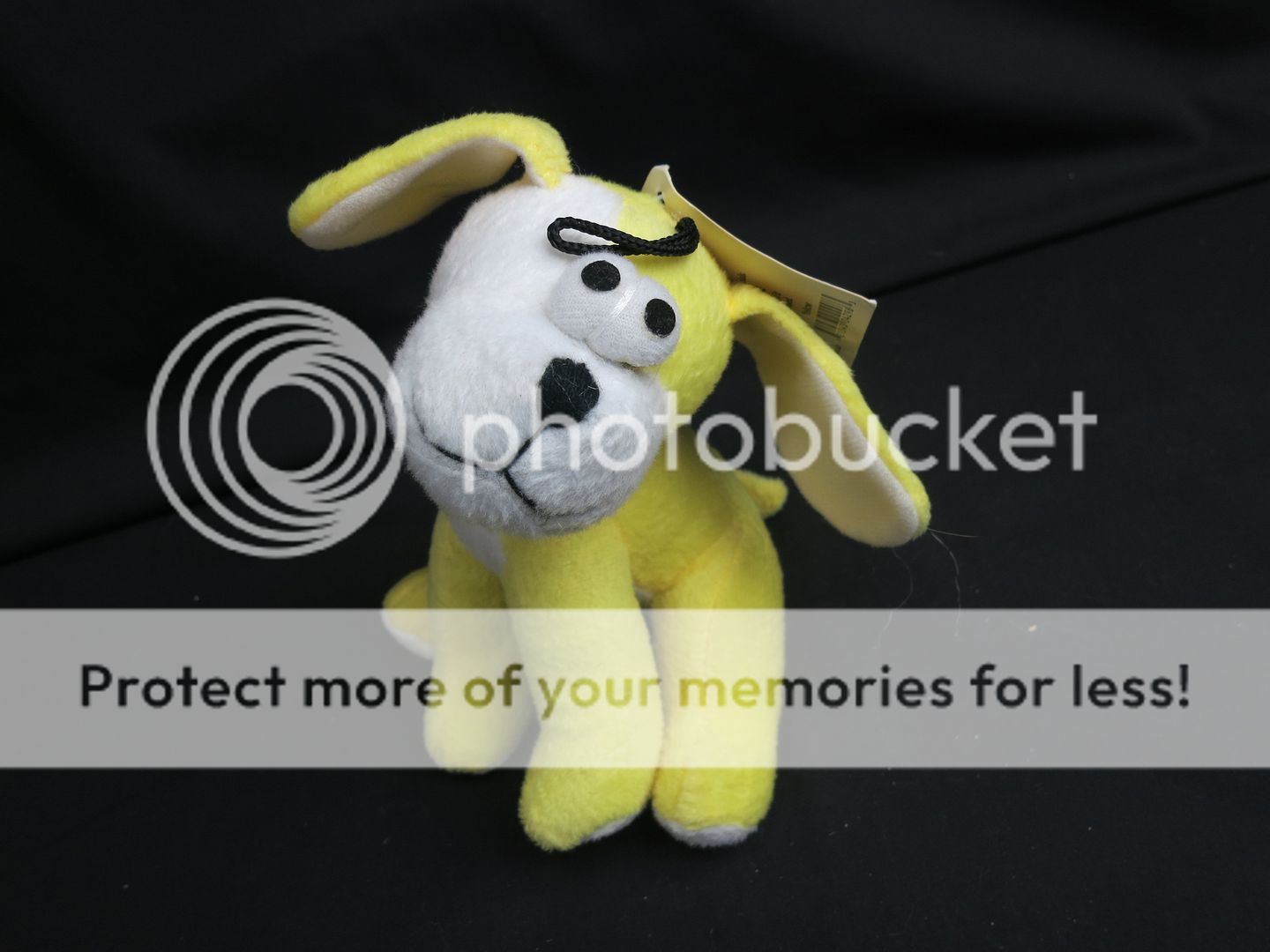 bungee plush toy