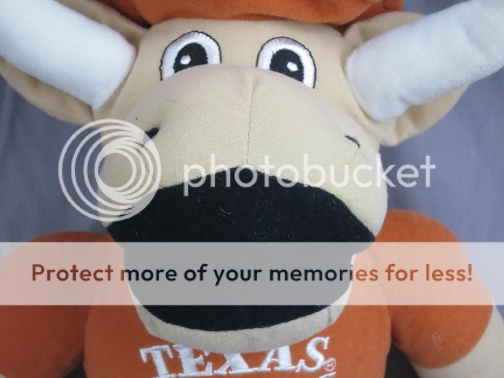 bevo plush toy