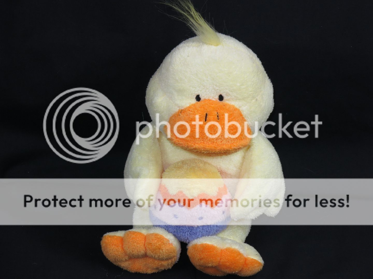 ty plush duck