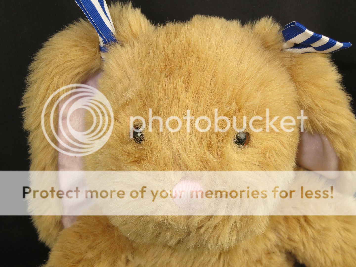 plush floppy ears build a bear striped blue white bows plush