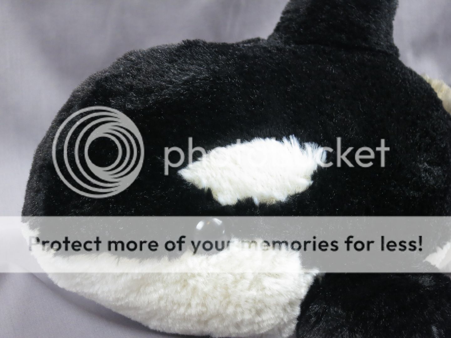 orca plush