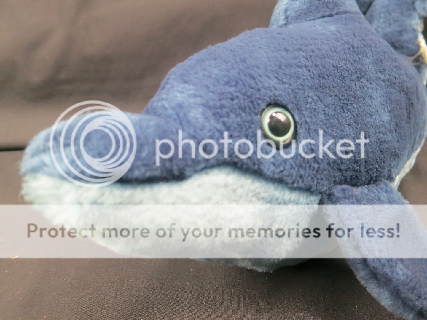 ocean plush animals