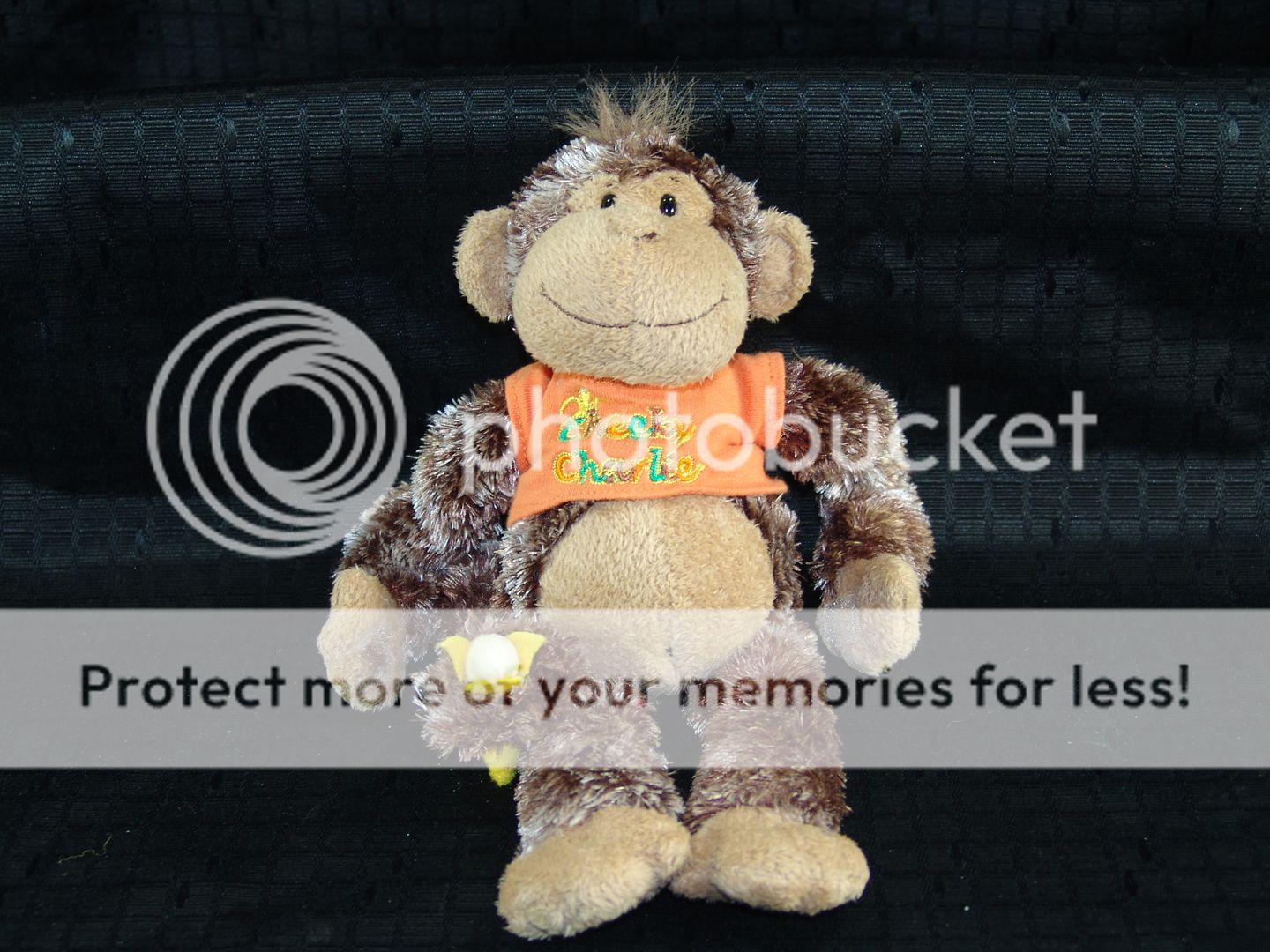 Orange Shirt Banana Plush Cheeky Charlie Hug Monkey  