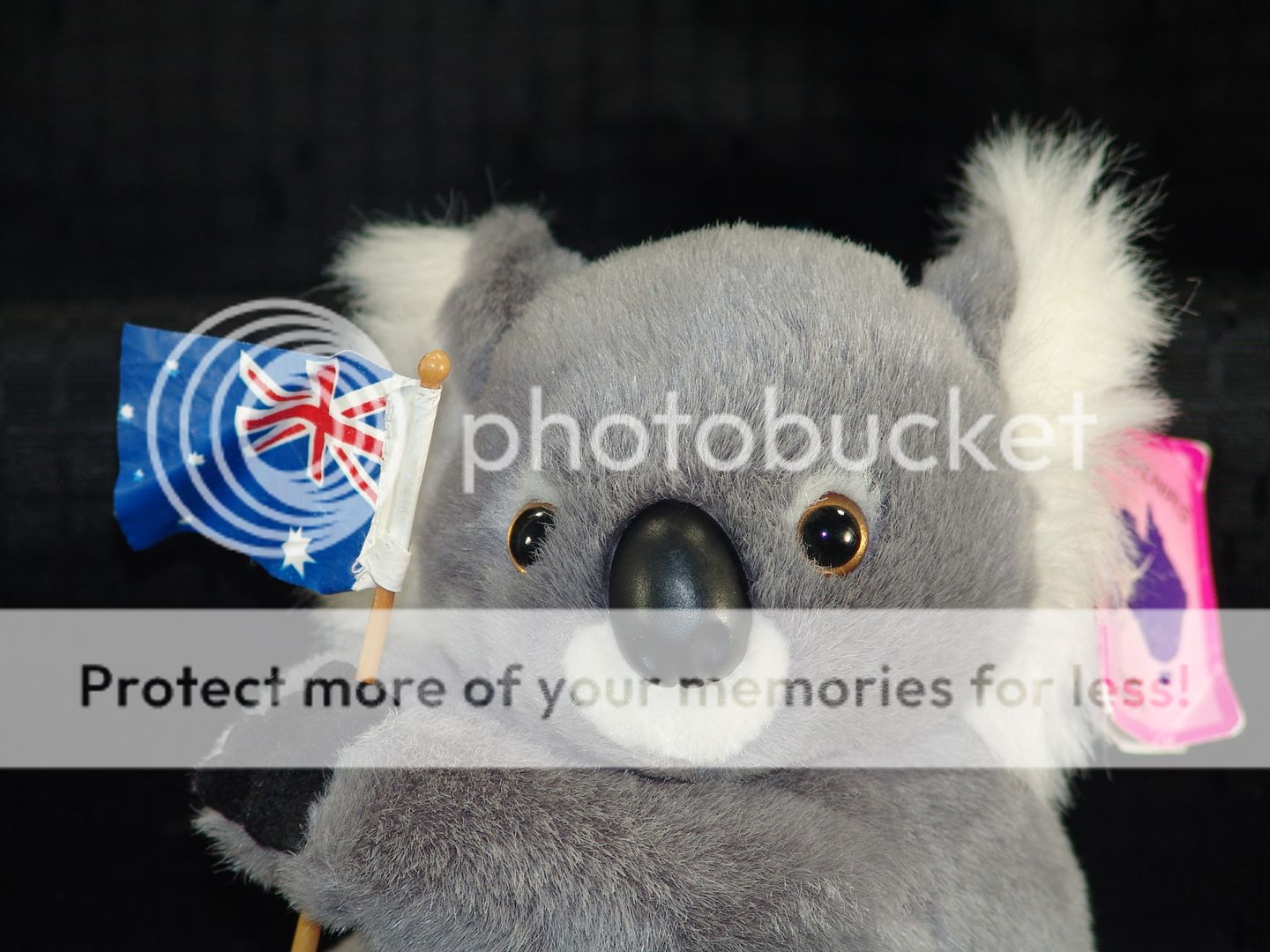 Plush Australia Vacation Australian Flag Koala Bear  