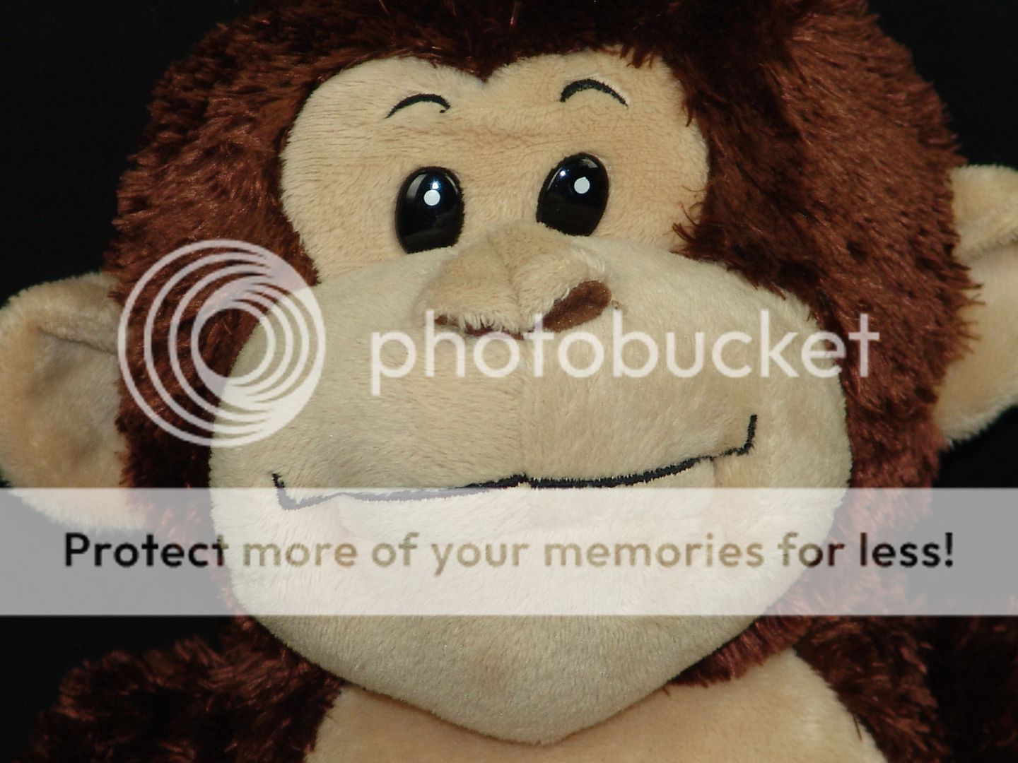 twin stuffed animals